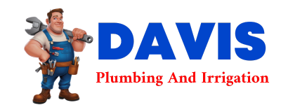 Trusted plumber in HOOKS